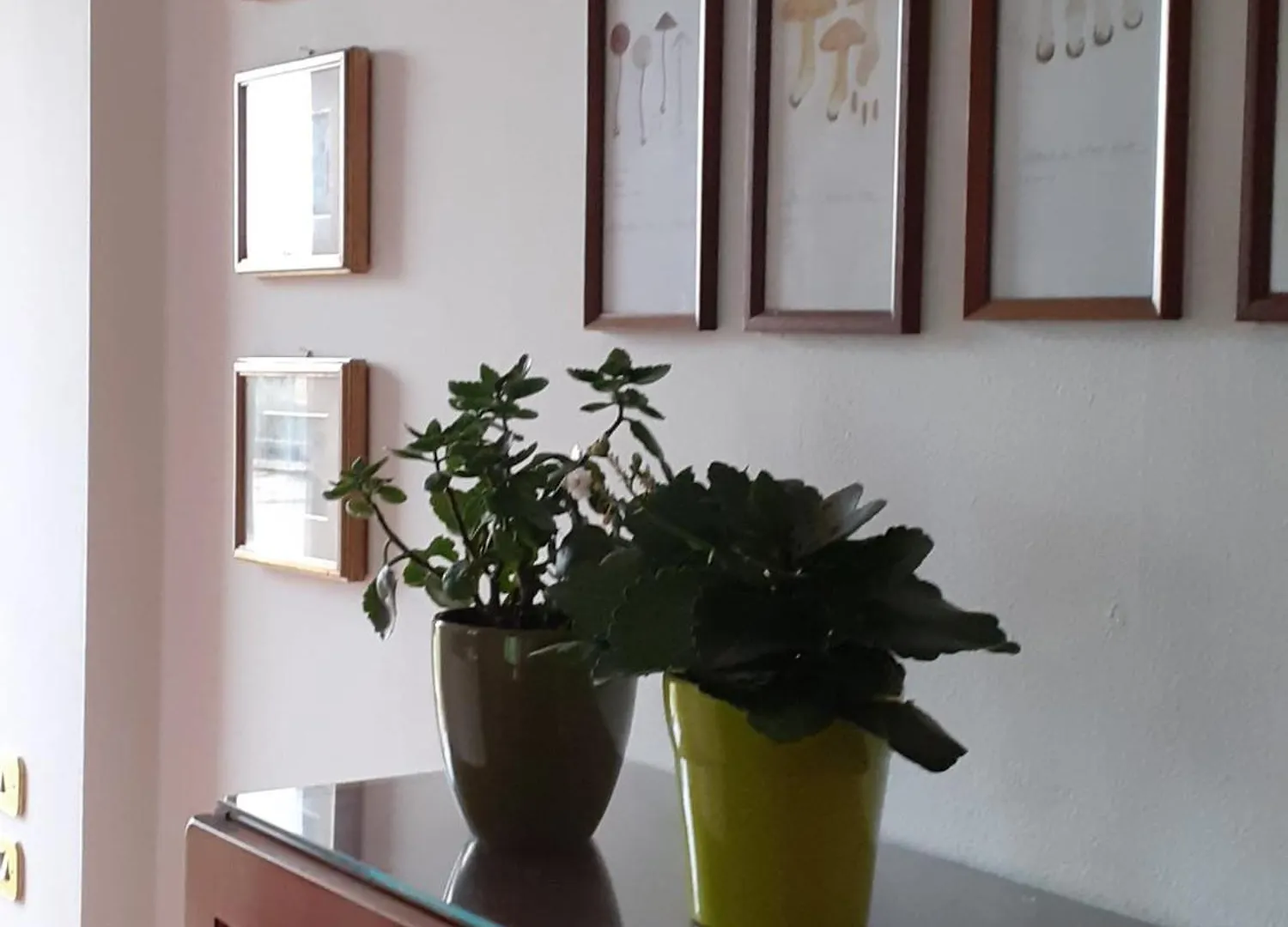 아파트 Casa Vacanze La Madonnetta 아르카데